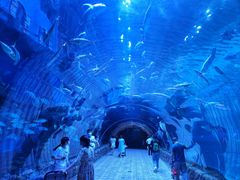 -华夏文旅海洋公园