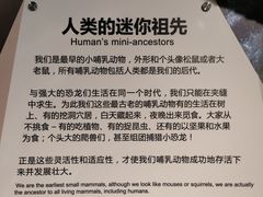 -正佳自然科学博物馆