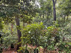 -白云山索道-售票处