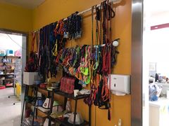 -佑安动物医院·全科·内窥镜中心(幸福巷店)