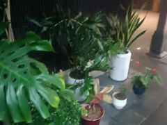 -阿伟海鲜楼·福建菜(涵江店)