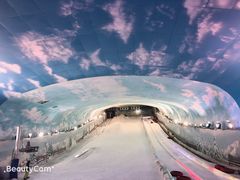 -世界之窗阿尔卑斯冰雪世界