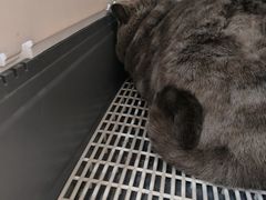 -联合动物医院(光谷诊疗中心)