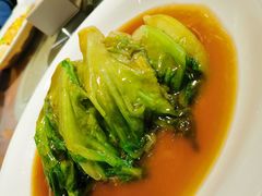 豪油生菜-春满园·早茶·粤菜·宴会(前海店)