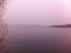 -南湖国家城市湿地公园
