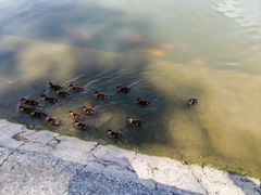 -中国农业博物馆
