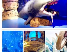 -波塞冬旅游度假区