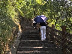 -广州白江湖森林公园