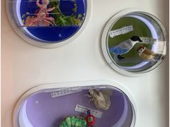 -上海儿童博物馆