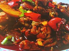 -丝路伊兰·兰州牛肉面(马连道店)