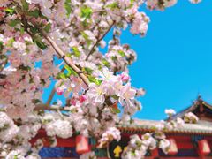 -北京动物园