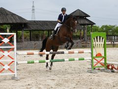 -松声马术俱乐部