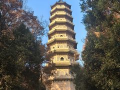 -灵谷景区