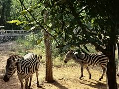 -石家庄市动物园