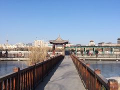 -莲花池公园