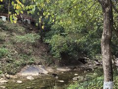 -广州白江湖森林公园