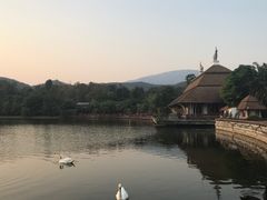 -清迈夜间动物园