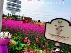 -紫颐香薰山谷景区