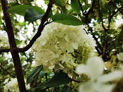 -大龙山(地铁站)