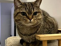 -味千拉面(光启城时尚购物中心店)