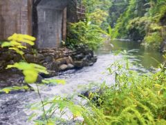 -广州市石门国家森林公园