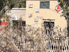 -小芝红树林