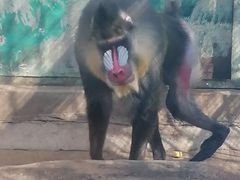-昆明动物园