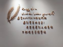 -KS科逆美肤祛痘