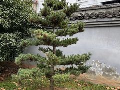 -清晏园