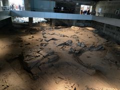 -自贡恐龙博物馆