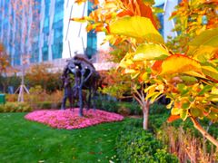 -北京希尔顿逸林酒店-逸轩西餐厅-自助餐厅