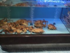 -阿伟海鲜楼·福建菜(延寿店)