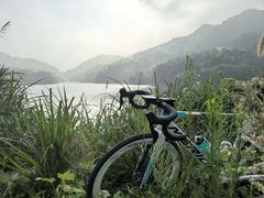 -长沙黑麋峰国家森林公园