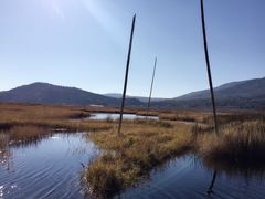 景点-腾冲北海湿地