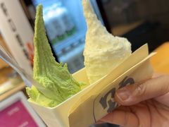 -野人先生现做冰淇淋(北京顺义祥云小镇店)