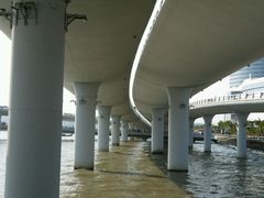 -演武大桥观景平台