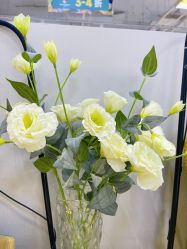 -今玥美甲美睫