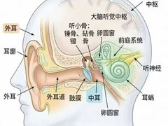 -自然之声助听器(平凉店)
