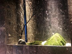 -麻路成都火锅(柏威年店)