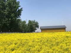 -天津武清北运河郊野公园房车露营地