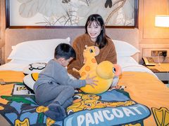 -上海嘉定喜来登酒店