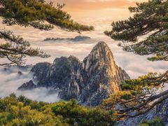 -黄山风景区