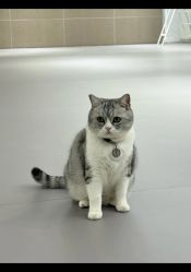 -我舞空间舞蹈培训