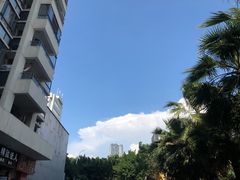 -广达眼镜炖罐(广达店)