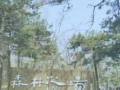 -北京西山国家森林公园