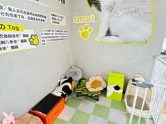 -上海浦东smart汽车全功能店(金桥店)