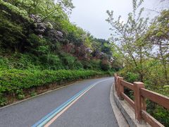 -杭州半山国家森林公园