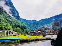 -中国大熊猫保护研究中心雅安碧峰峡基地