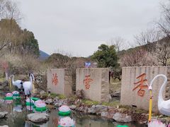 -香雪海