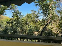 -洞背山庄(洞背院区式管理小区店)